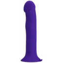 Anal Dildo Vibe