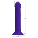 Anal Dildo Vibe