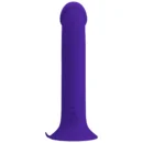 Anal Dildo Vibe