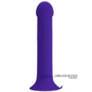 Anal Dildo Vibe