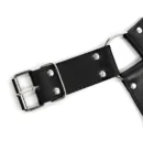 Dominant Straps Male Harness