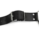 Dominant Straps Male Harness