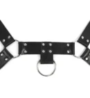 Dominant Straps Male Harness