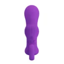 Luxury Anal Toy