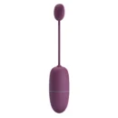 Wireless Egg Vibrator