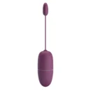 Wireless Egg Vibrator