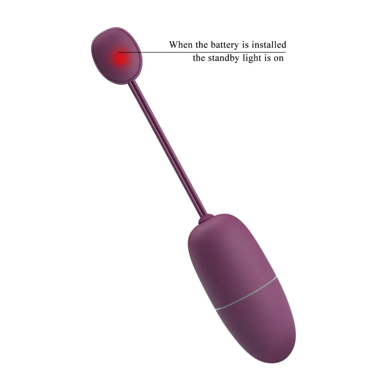 Wireless Egg Vibrator - Image 5