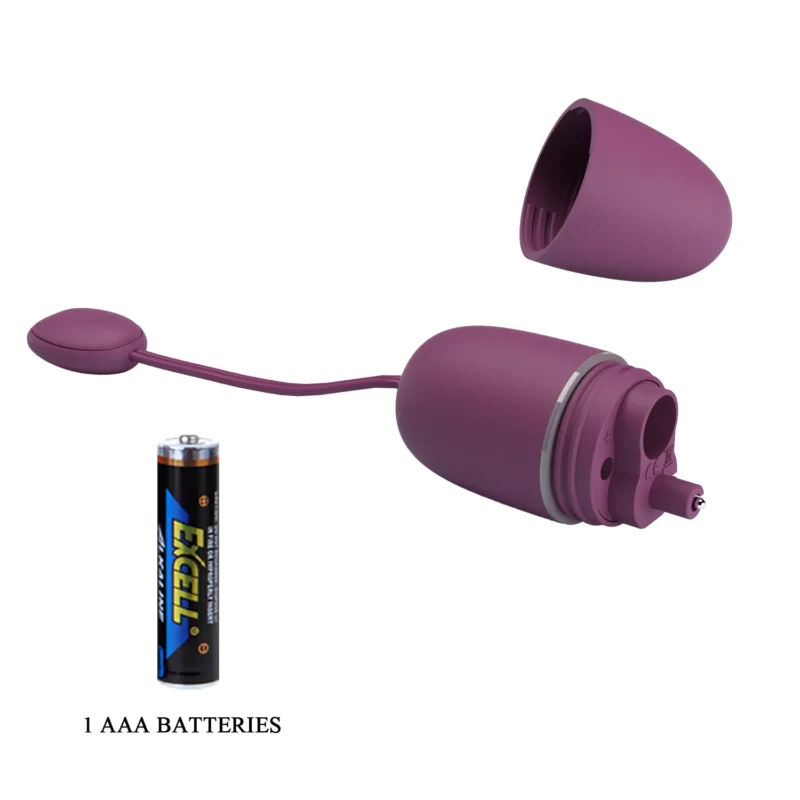 Wireless Egg Vibrator - Image 6